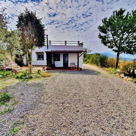 Loft Rural Daire Granada Dış mekan fotoğraf